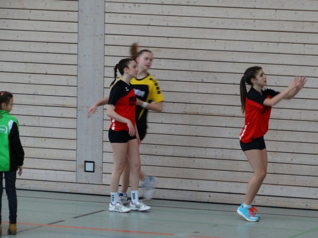 2016_02_13 Landesliga J15